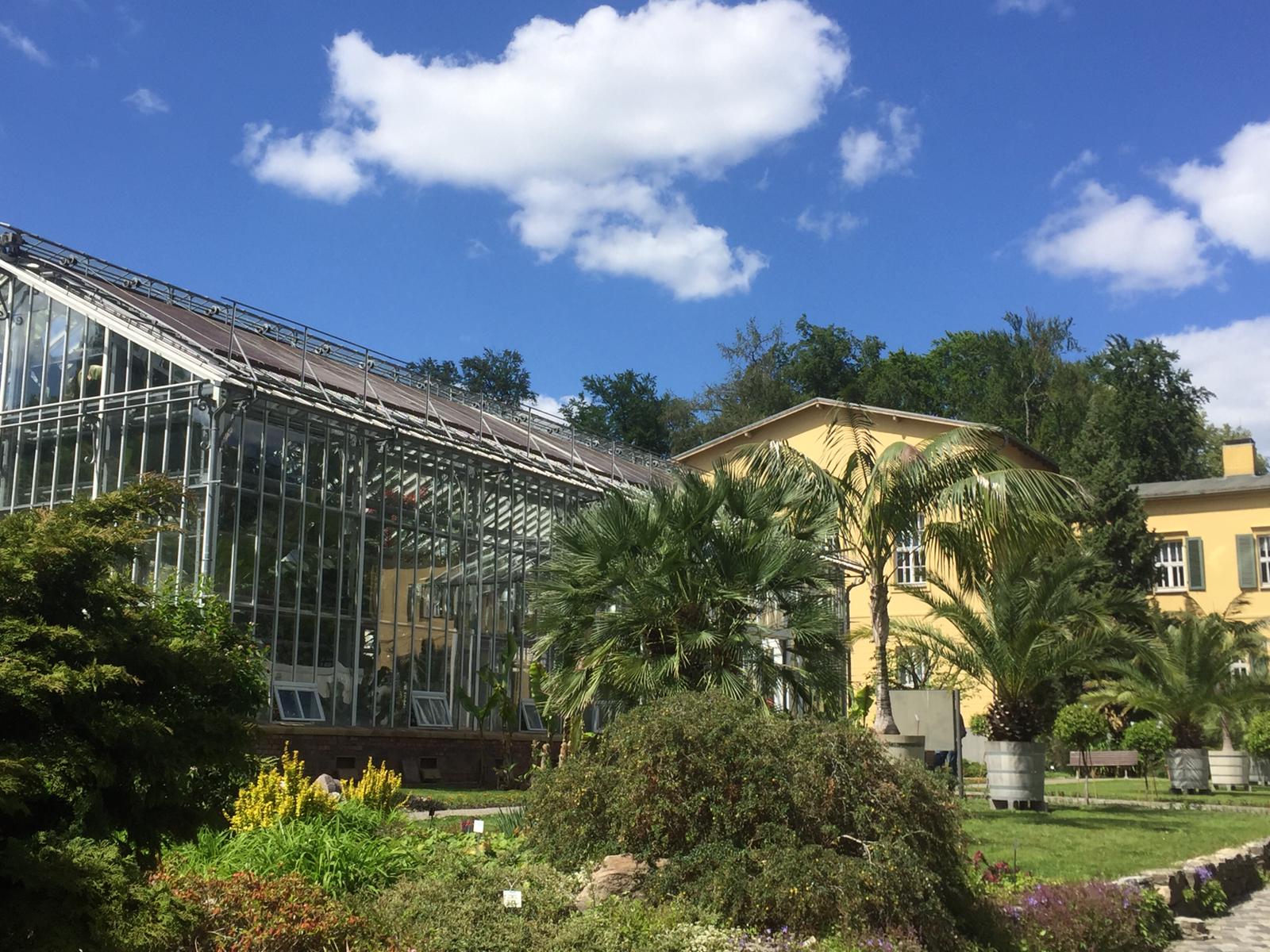 (Post-)Kolonialismus und der botanische Garten in Potsdam