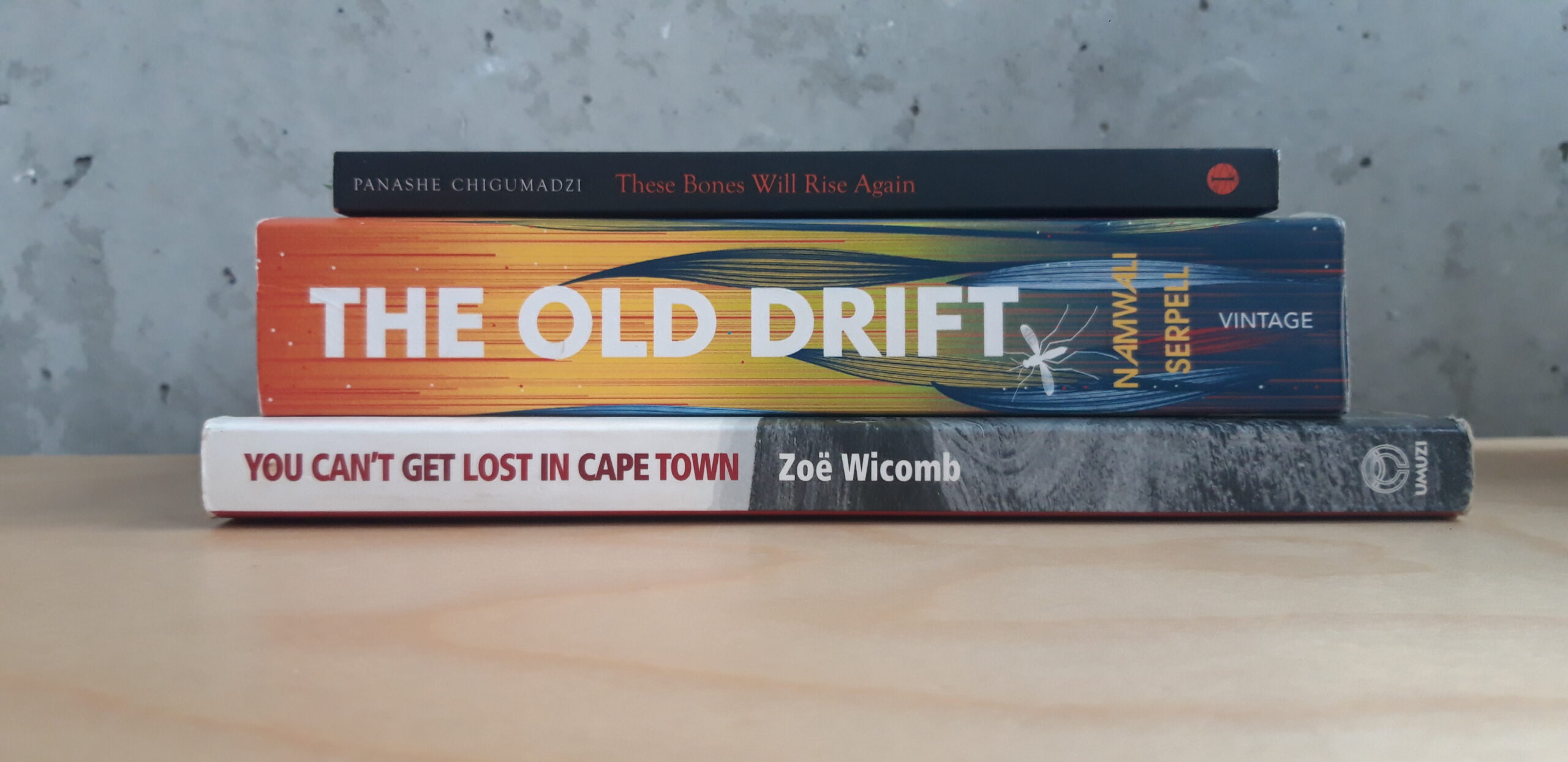 5 books set in Southern Africa worth reading