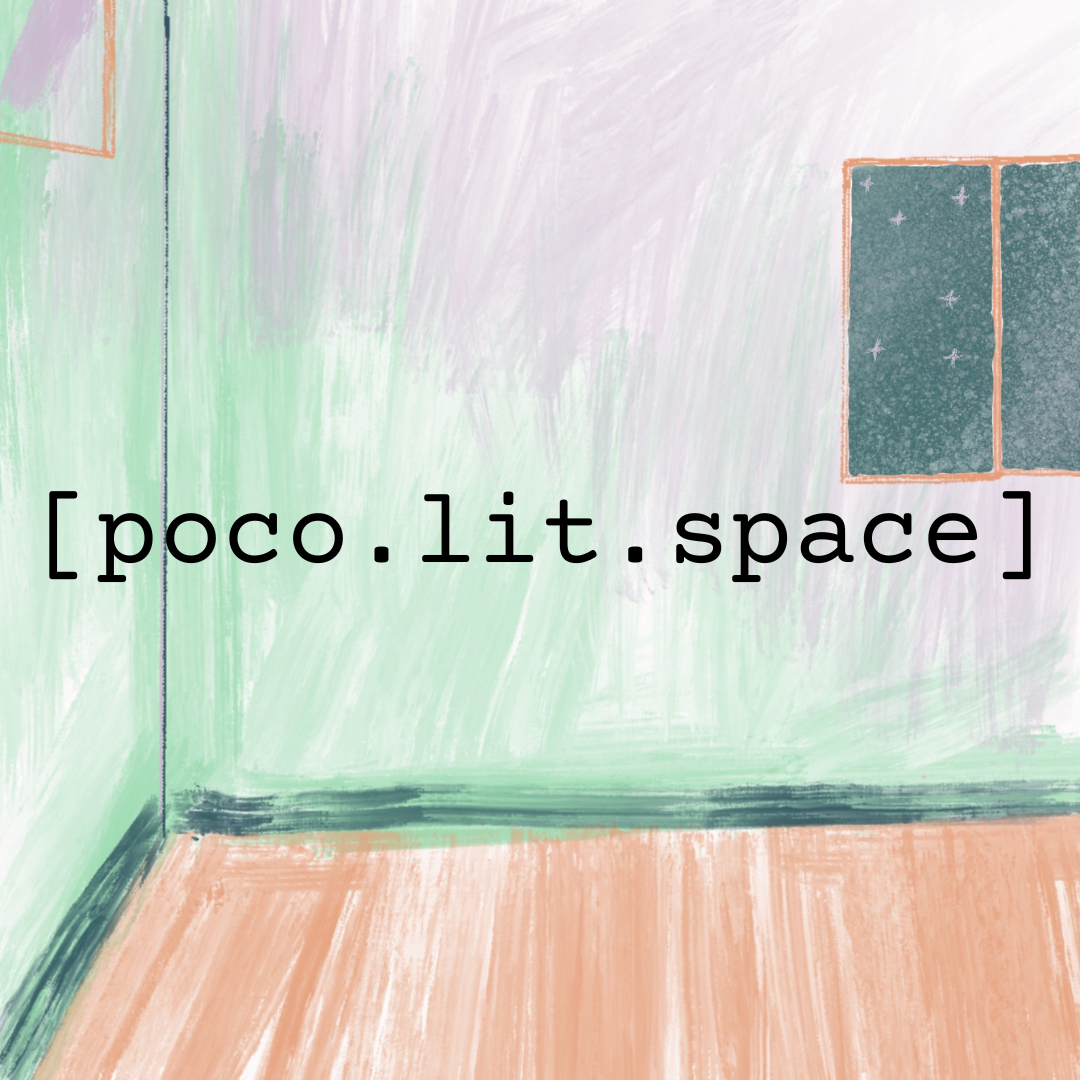 poco.lit.s neues Projekt für 2024: [poco.lit. space]